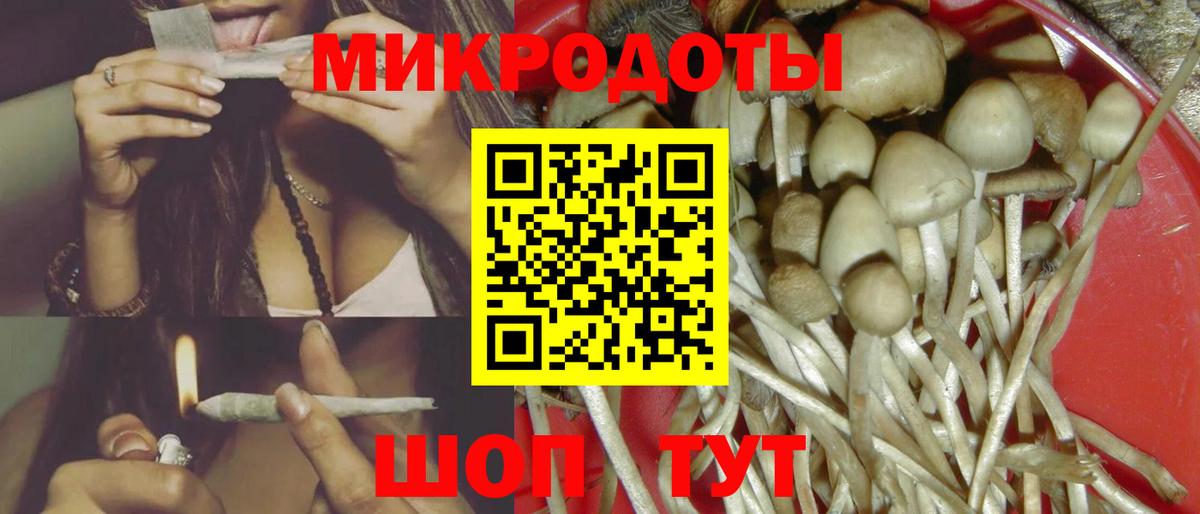 Галлюциногенные грибы MAGIC MUSHROOMS  Вход с VPN  Санкт-Петербург 