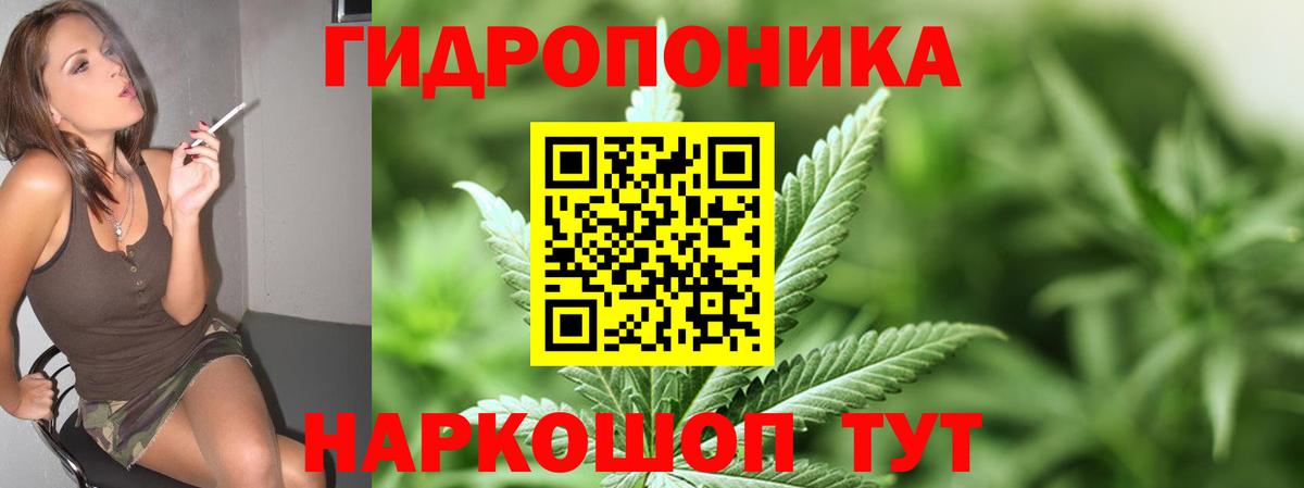 Канабис планчик Санкт-Петербург
